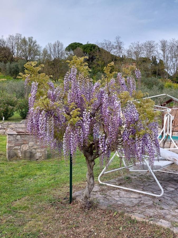 Agriturismo Camera Rosa Todi Esterno foto